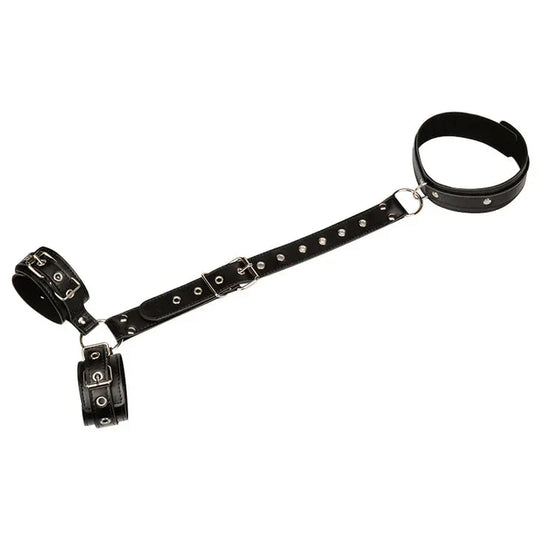 Elysiana™ | Restraints